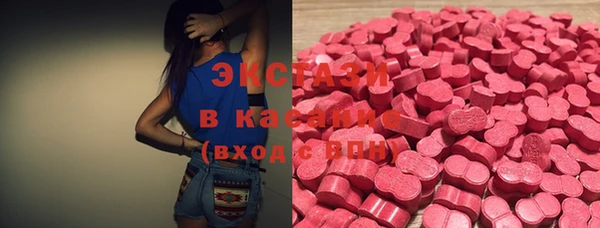 стаф Дмитровск
