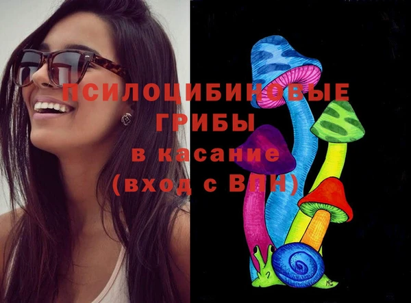 эйфоретик Алексин