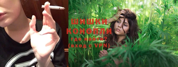 шишки Алексеевка