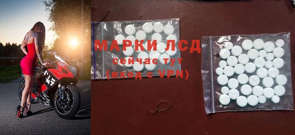 сатива Заводоуковск