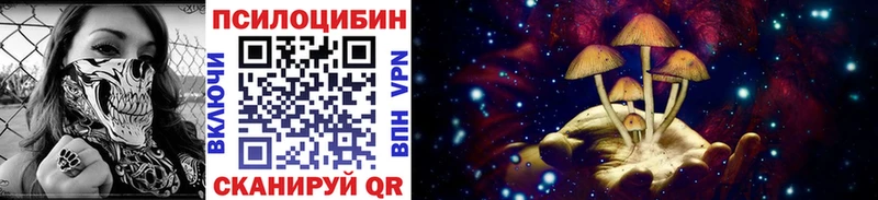 Галлюциногенные грибы Magic Shrooms  Уссурийск 
